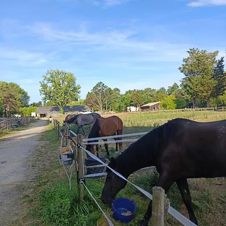 Domaine Des Terres Sauvages アパート レ・マトゥ