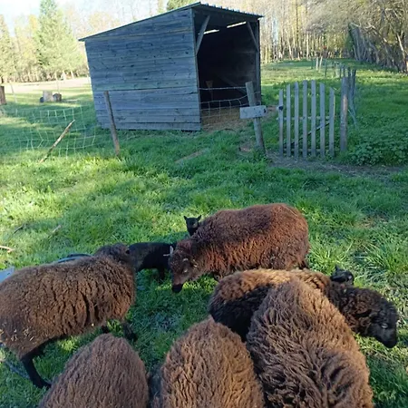 Domaine Des Terres Sauvages アパート *