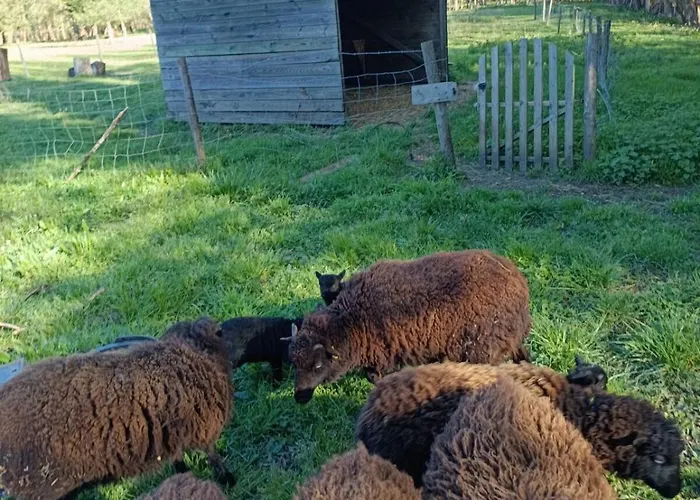 Domaine Des Terres Sauvages Apartment *